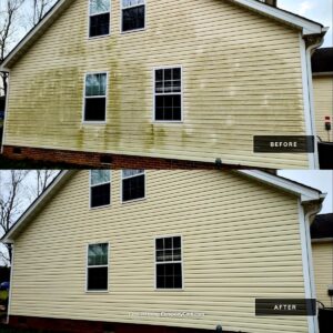 local pressure washing company