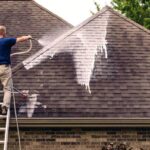 roof cleaning